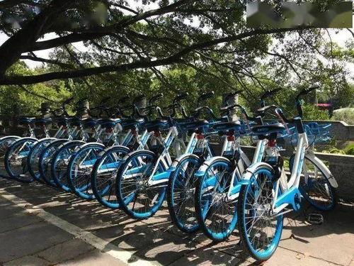 桂林单车爆料案件最新,真相与疑云交织的骑行之谜