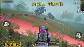 和平精英新版的爆料视频,全新内容与玩法大揭秘！